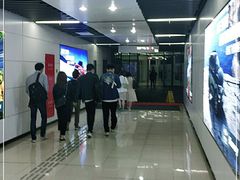 -上海中心大厦
