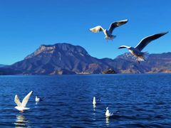 -丽江泸沽湖景区