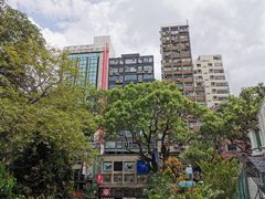 -九龙公园
