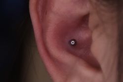 -众刺纹画·纹身·穿孔饰品·海娜定制