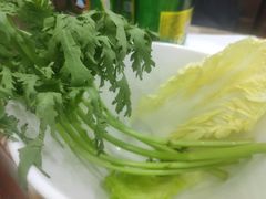 青菜合盘-福记火锅