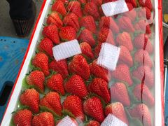 -三旗百汇商品城