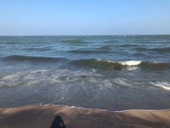 -尼甘布海鲜市场