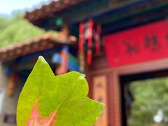 -MAP CHA普洱茶馆(翠湖店)