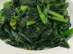 清炒板蓝根苗-玉华台饭庄·淮扬菜·烤鸭(望京店)