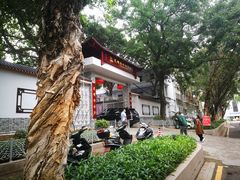 -光明小镇欢乐田园