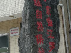 -罗坑大草原