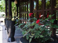 -杭州西子湖四季酒店-WL BISTRO西湖餐厅(灵隐路店)