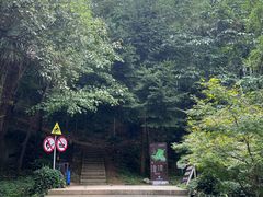 -上海佘山国家森林公园天马山园