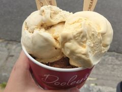 -Dooley's Premium Ice Cream