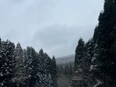 -武陵山森林公园