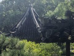 -上海醉白池公园
