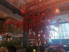 大堂-拈菜(观音桥阳光世纪店)