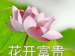 -蛙来哒(龙华壹方天地店)