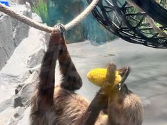 -合肥海洋世界