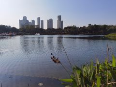 -映月湖公园
