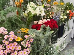 -淘花源花艺鲜花店 开业花篮 绿植(南部商务区店)