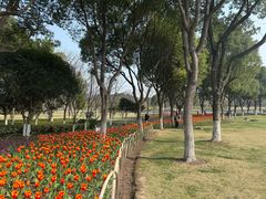 -院士公园