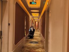 -上海白金汉爵大酒店(大零号湾国际会议中心店)