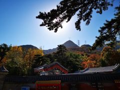 -北京鹫峰国家森林公园
