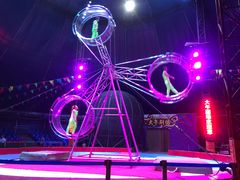 -兴芮温泉度假区