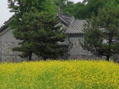 -北坞公园