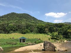 -广州市石门国家森林公园