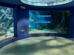 -福州罗源湾海洋世界旅游区
