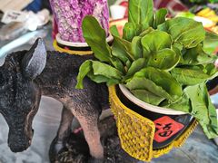 -慢丽江·云南野生菌土鸡锅(付家庄店)