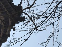 -辽代双塔