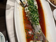 -渔人码头(中南店)