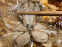 -老天桥蛙炉火锅(姑苏总店)
