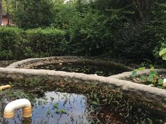 -活水公园