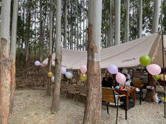 -桉树林A coffee 森林餐厅(三圣乡店)