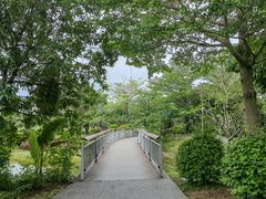 -福田红树林生态公园