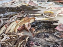 -和源祥·日照菜扛把子(万平口一店)