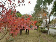 -太阳岛度假酒店