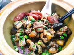 -红星光发煲仔饭(文海店)