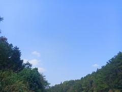 -青龙山国家森林公园