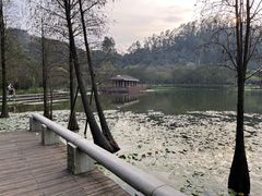 -顺峰山公园