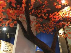 -香坝坝鲜鱼火锅(春熙路店)