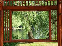 -共青国家森林公园-南大门停车场