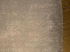 -温州博物馆