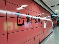-飞翔公园(地铁站)