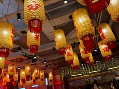 -朱光玉火锅馆(正弘城店)