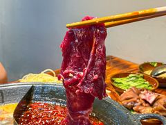 -阳阳老火锅(小南门店)