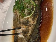 清蒸斑鱼-大铁勺酒楼(宾水西道店)