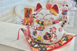 -Yukina Plus专业日式美肌