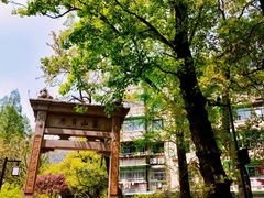 -临平公园(临平街道)
