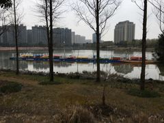 -南翔镇银翔湖公园